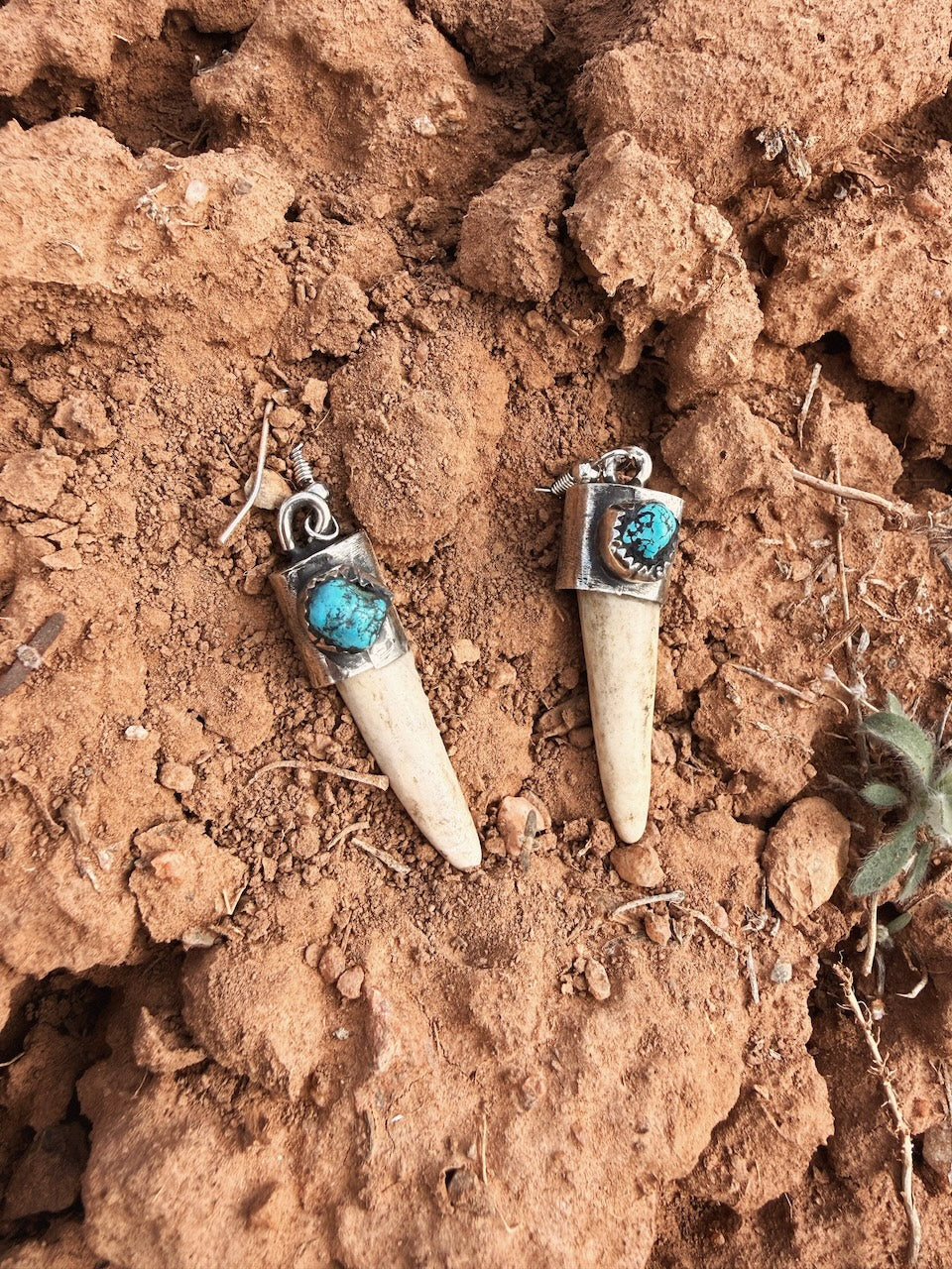 Antler Earrings